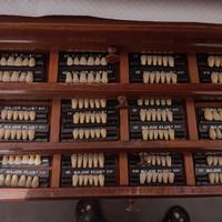 Denti Major Super Lux: 200 bocche (6 denti/cad)