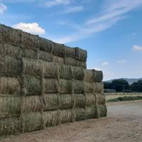 Erba medica in pressoni prismatici con trasporto..