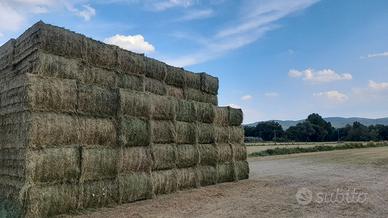 Erba medica in pressoni prismatici con trasporto..