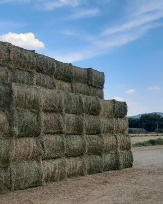 Erba medica in pressoni prismatici con trasporto..
