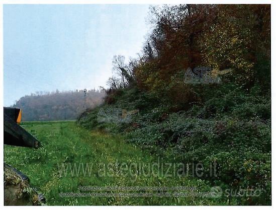 Terreno Agricolo Orte [A4337772] - Vista 4