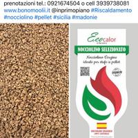 Nocciolino Spagnolo depolverato