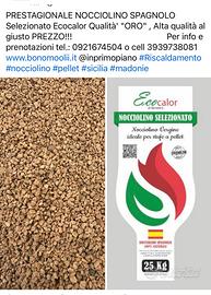 Nocciolino Spagnolo depolverato