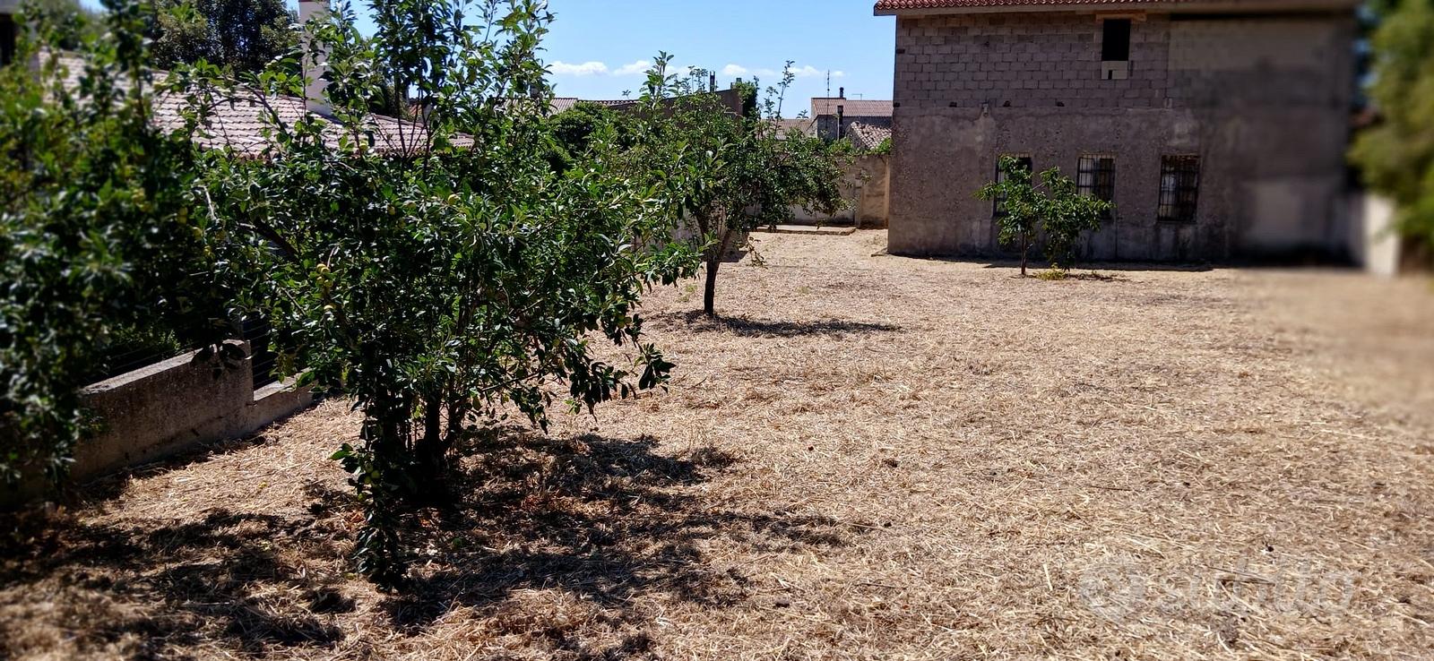 Terreno e casa due livelli - Vista 5