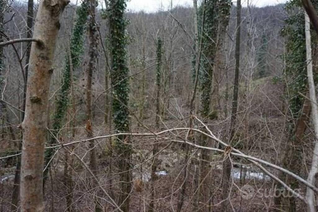Immobile in asta di 6196 m² a Valli del Pasubio - Altro