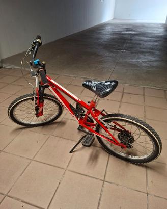 BICICLETTA BAMBINO RAGGIO 20