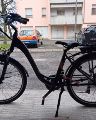 Bicicletta elettrica 