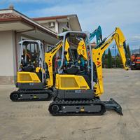 MINIESCAVATORE WAKER NEUSON EZ 17 FULL PREZZO BOMB