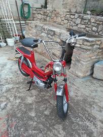 MINI CALIFFO RIZZATO