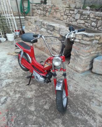 MINI CALIFFO RIZZATO