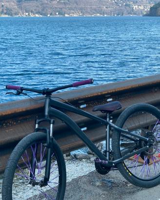 bicicletta 
