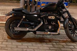 Harley Davidson 883 iron