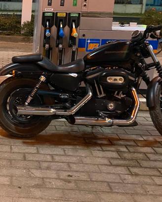 Harley Davidson 883 iron