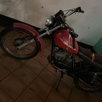 Harley-Davidson Altro modello