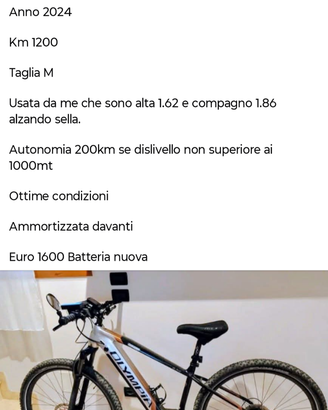 MTB assistita PowerNine 900Wh