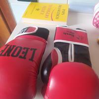 Guantoni da kickboxing