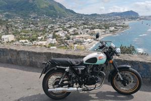 Mash Seventy Five 125 - 2015