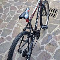 Bicicletta da Ragazzino