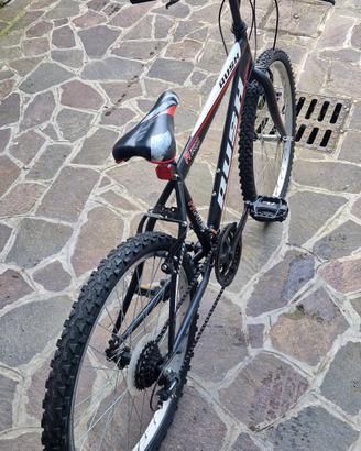 Bicicletta da Ragazzino