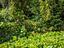 Immagine 26