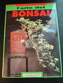 Libro Bonsai di Peter D.Adams