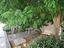 Immagine 16