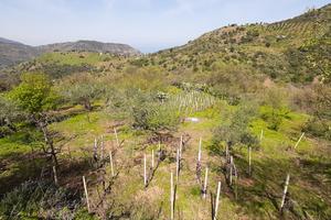 Terreno agricolo con abitazione rurale Pollina