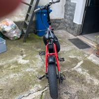 Bici elettrica