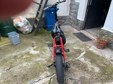 Bici elettrica