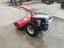 Immagine 3
