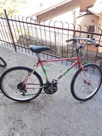 Bicicletta 