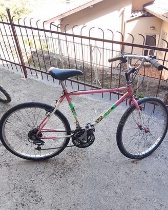 Bicicletta 