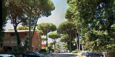 Trilocale lido estensi