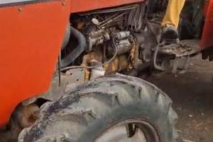 Trattori massey ferguson 275q