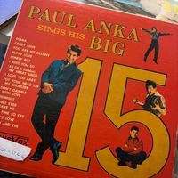 Vinile paul anka big