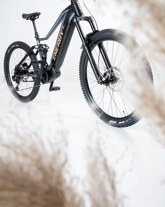 Ebike fenice 2.4 - steli da 160 - batteria 720