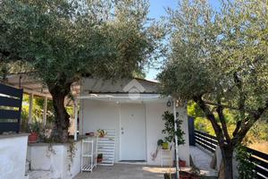 MONOLOCALE A FONTE NUOVA