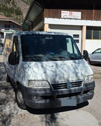 furgoni 