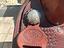 Immagine 2