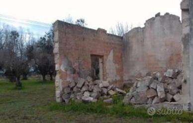 Terreno agricolo Novoli