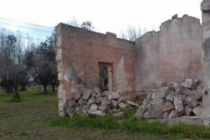 Terreno agricolo Novoli