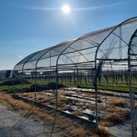 Serra con rete antigrandine mt 8x6x5 h