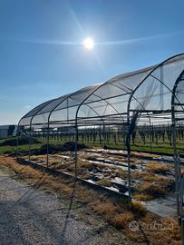 Serra con rete antigrandine mt 8x6x5 h