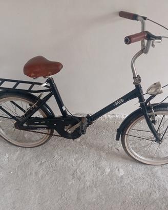 bicicletta pieghevole 