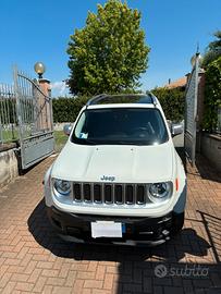 Renegade 2.0 4x4