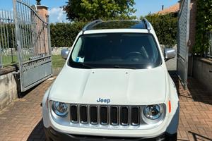 Renegade 2.0 4x4