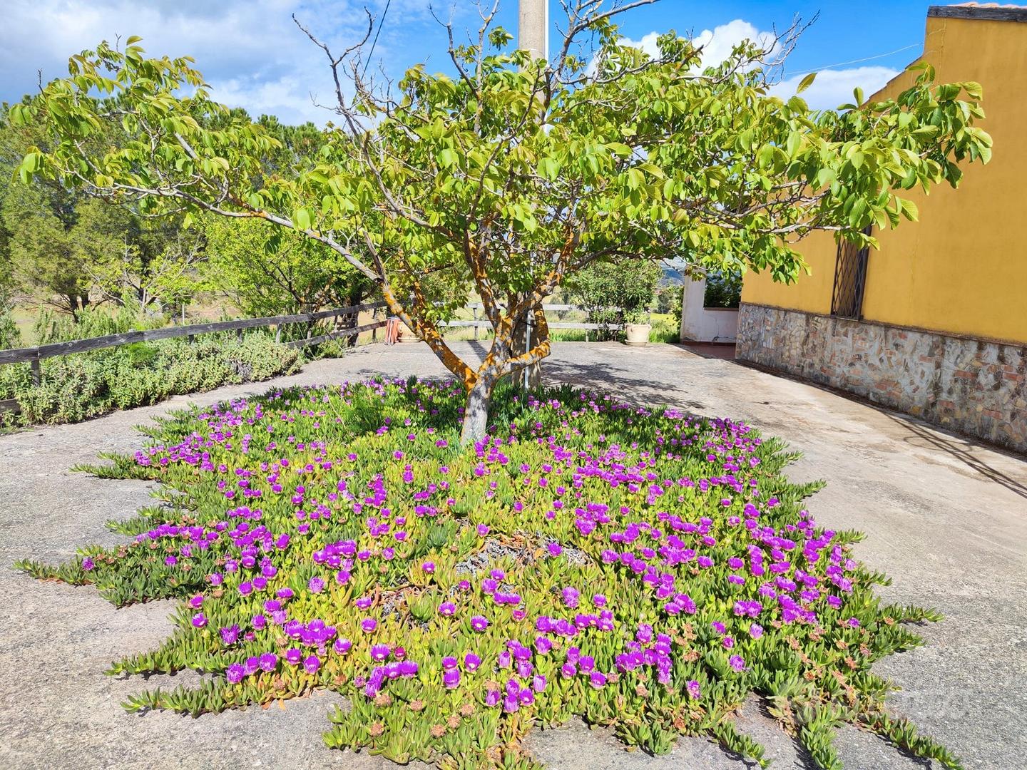 Casa campagna - Vista 3