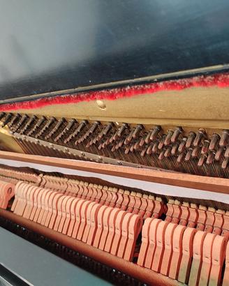 pianoforte 