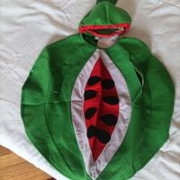 Costume Anguria 4-6 anni 