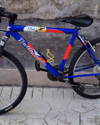Mountain bike - Bottecchia - Ragazzino